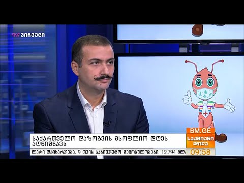 მსოფლიო დაზოგვის დღე 2020